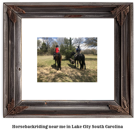 horseback riding near me in Lake City, South Carolina